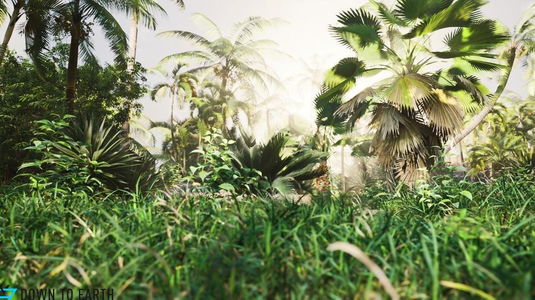 native plants for rain garden